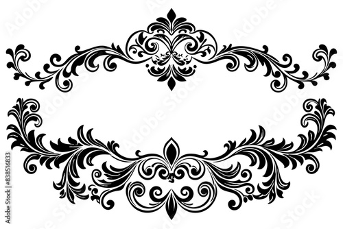 beautiful graphic with a black elegant plant ornament on an isolated background