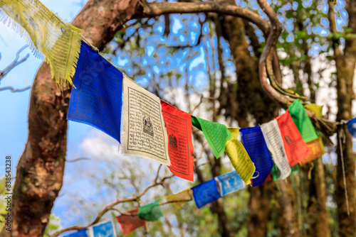 Colorful Nepali and Tibetan prayer flags fluttering in the majestic mountains of Nepal. Symbolizing peace, compassion, and blessings, flags adorn the serene landscape of Himalaya mountains photo