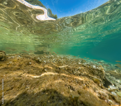 Actioncam underwater seascape capture during snorkeling at croatia, adriatic sea