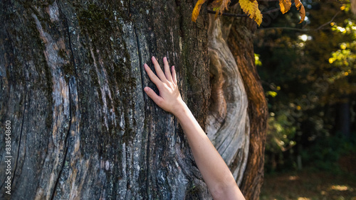 Young woman connecting and communicating with a majestic old tree  touching and stroking its bark. Nature and people bond concept.