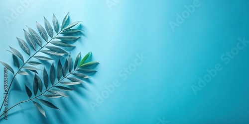 Delicate leaf shadows on minimal blue background with empty copy space for product presentation  nature  foliage  shadows  design  backdrop  blue  minimal  simplicity  peaceful  serene