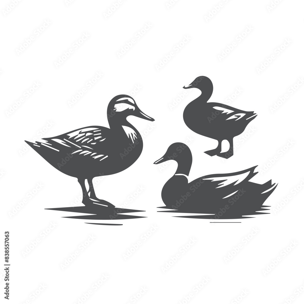 duck and ducklings duck and ducklings