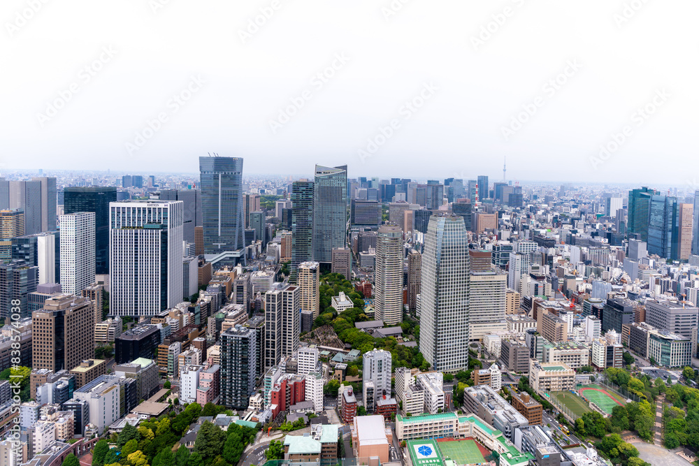 Fototapeta premium 展望台から望む高層ビル群