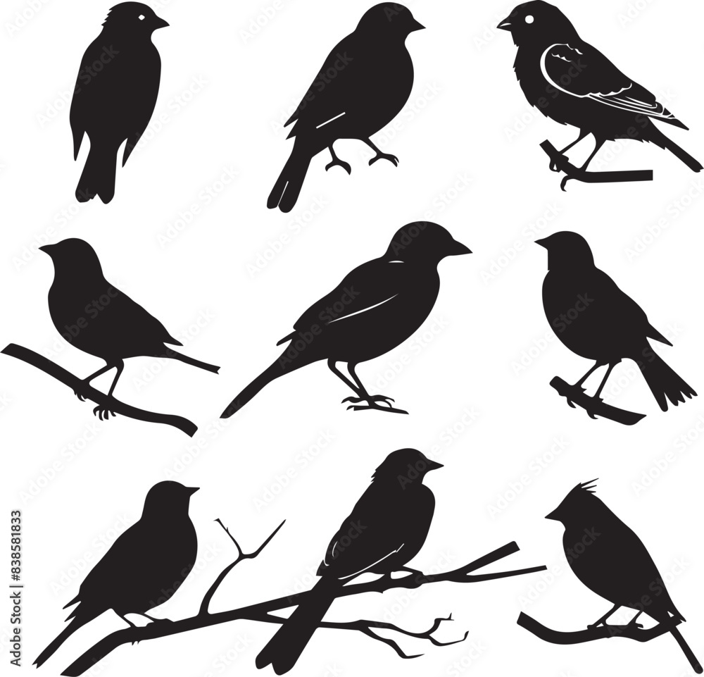Fototapeta premium Set of black bird silhouettes Vector Illustration elements for design on White Background 