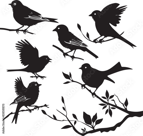 Set of black bird silhouettes Vector Illustration elements for design on White Background  © Md Ruhul Amin