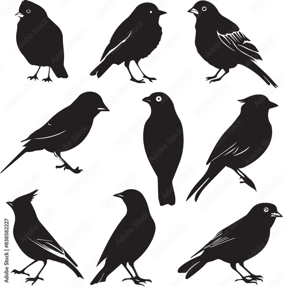 Fototapeta premium Set of black bird silhouettes Vector Illustration elements for design on White Background 