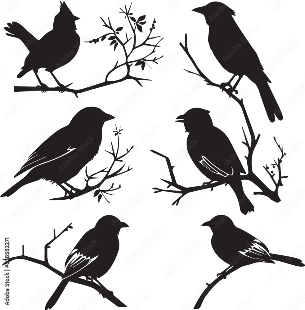Fototapeta premium Set of black bird silhouettes Vector Illustration elements for design on White Background 