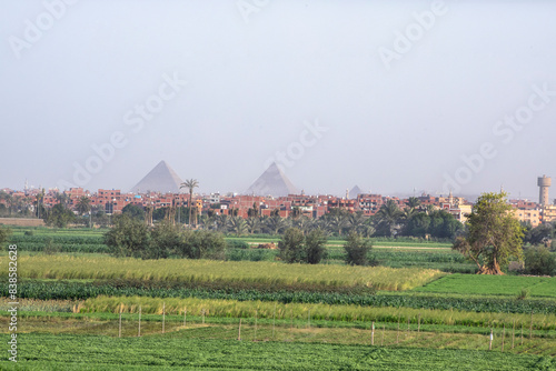 Egyptian Country View with Giza Pyramids at the Horizon