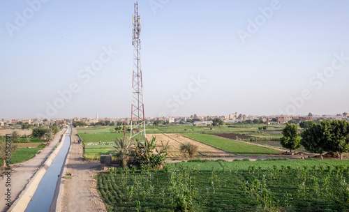 Egyptian Countryside View, Green Fields with Small Water Canal