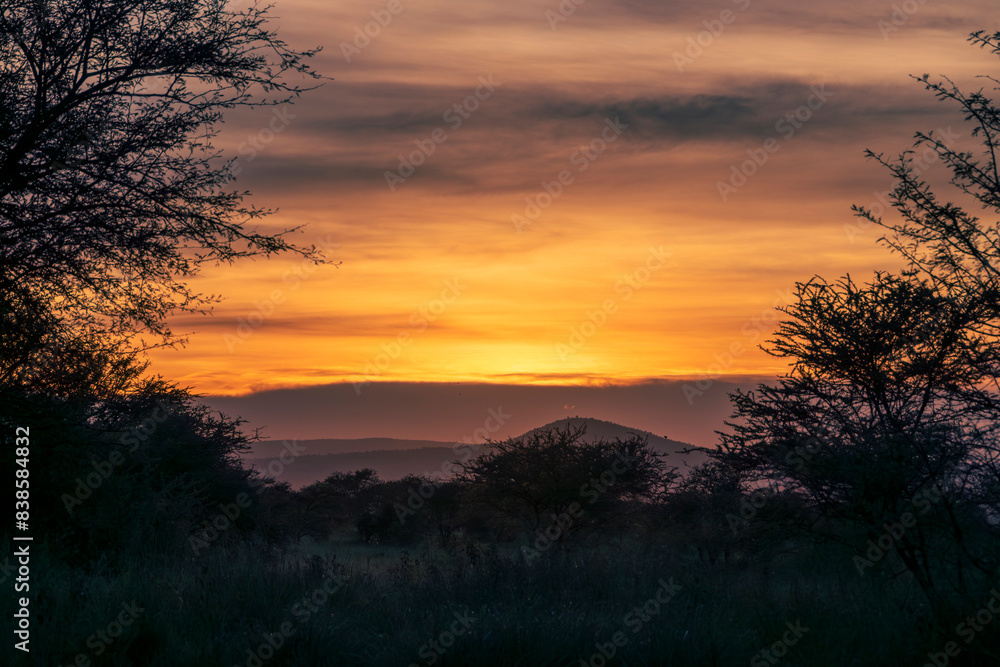 Tanzania - Serengeti National Park - A Tapestry of Colors Over the Tanzanian Savannah Tanzania - Serengeti National Park - A Tapestry of Colors Over the Tanzanian Savannah