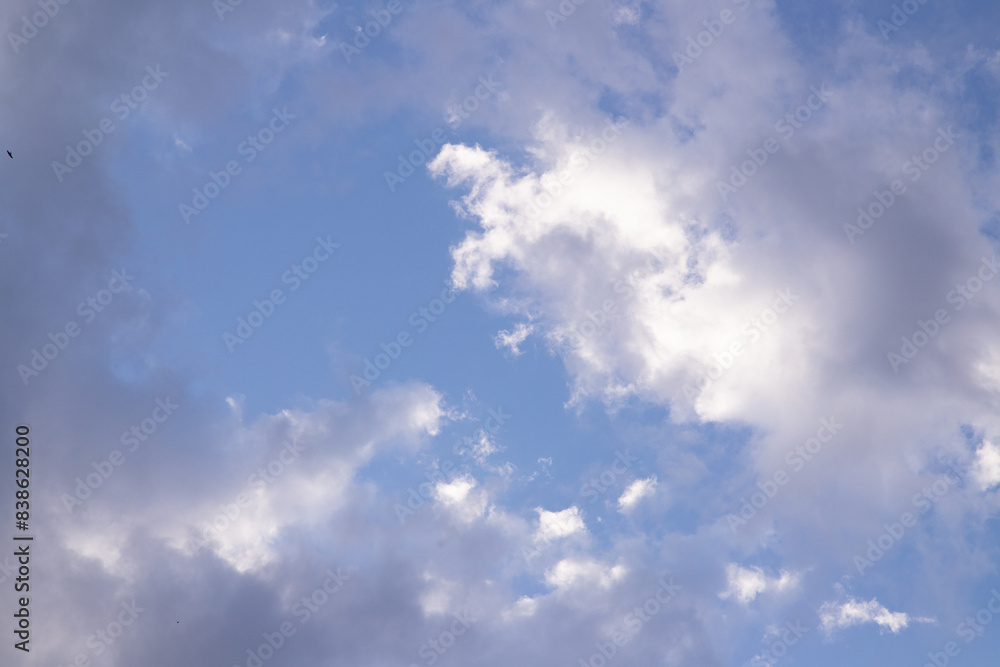 Fototapeta premium Blue skies with scattered clouds, birds flying high!