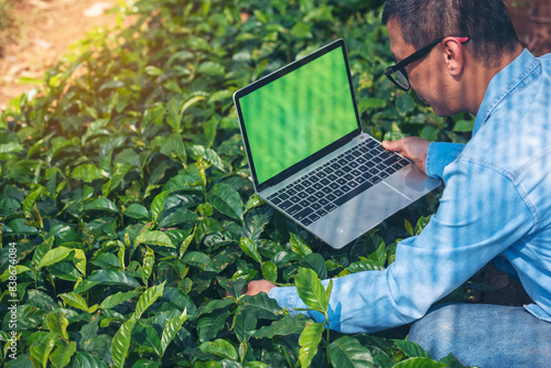 Smart farmer using laptop in eco green farm sustainable quality control. Close up Hand typing laptop computer quality control plant tree. Farmer hands using technology in eco Farmland biotechnology photo