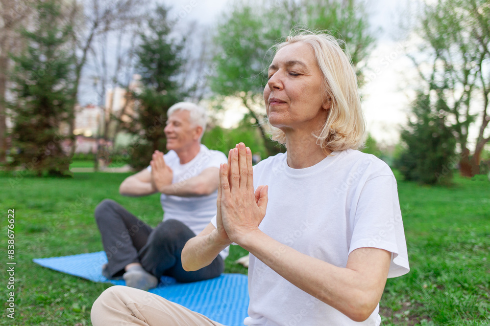 Fototapeta premium elderly senior couple man and woman doing yoga and meditating in a park in open space, gray-haired grandparents doing sports and active lifestyle in nature