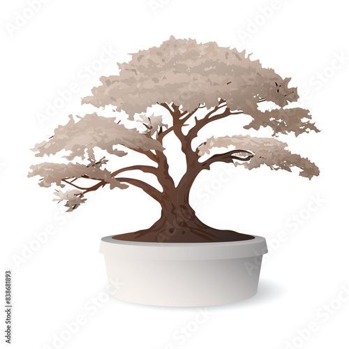 Bonsai tree in flowerpot isolated graphic illustrated.