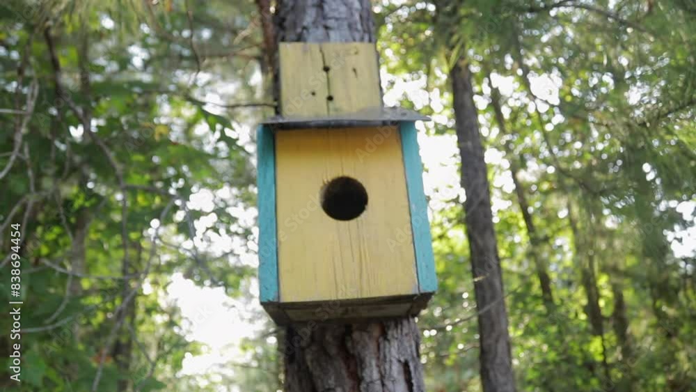 Slow Motion Handheld shot around a Yellow Bluebird House in the Evening with the Sun in the Back Slow Motion Handheld shot around a Yellow Bluebird House in the Evening with the Sun in the Back