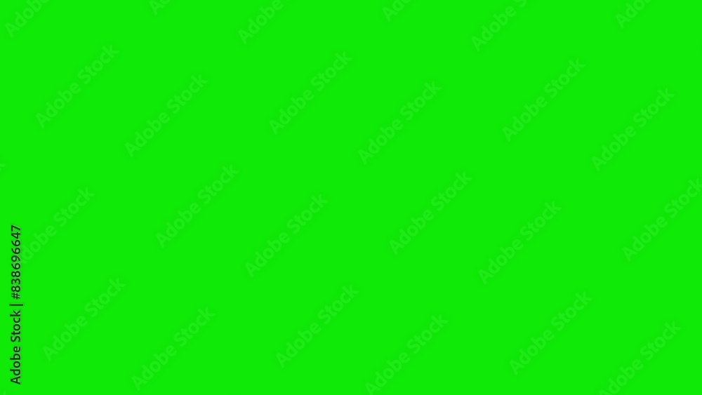 Title: White Dove Pigeon Bird - Flying Over Screen Transition - I - Green Screen - Realistic 3D animation isolated on chromakey background 