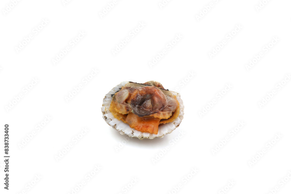 Shelled scallops on a white background. Make clipping path. Shelled scallops on a white background. Make clipping path.