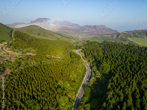 Obraz na płótnie Mt Aso, Japan: Aerial drone view of the road through a dense fir tree forest toward the Mt Aso Volcano with the Nakadake crater in the background in Kyushu in Japan. w salonie