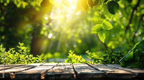 Spring summer beautiful natural background with green foliage in sunlight and empty wooden table outdoors 