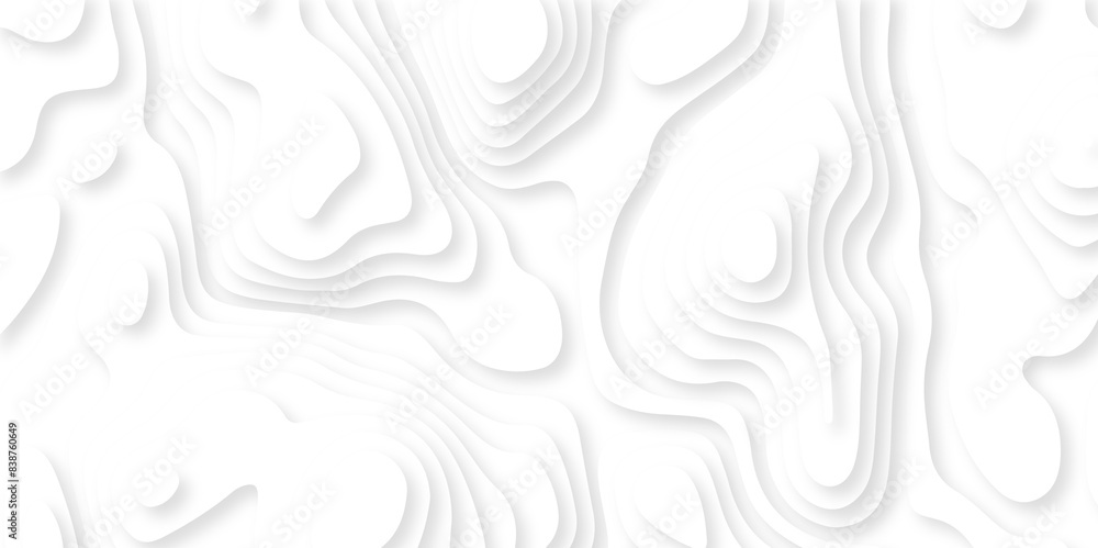 Background with lines Modern white carve wave line abstract luxury 3d papercut background. vector minimal topography map light element shadow landscape wave element curve graphic papercut design. Background with lines Modern white carve wave line abstract luxury 3d papercut background. vector minimal topography map light element shadow landscape wave element curve graphic papercut design.