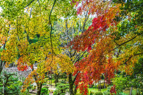 Colorful Autumn Leaves East Garden Heian Shinto Shrine Kyoto Japan