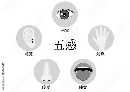 人間の感覚・五感のモノクロイラスト