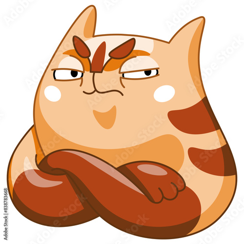 Unpleasant cat