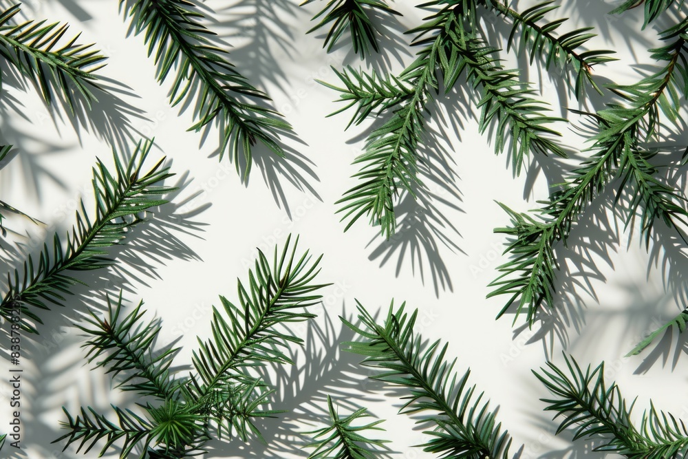 Obraz premium Close up of a green tree branch with leaves