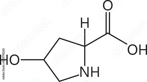 Hydroxyproline amino acid chemical molecules, essential chain structure with a hydroxyl group. Vector cyclic molecular chain contributes to collagen stability and strength in connective tissues