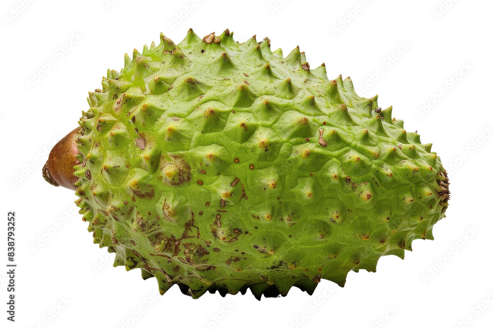 Annona muricata (Soursop) Fruit Isolated on White Background Annona muricata (Soursop) Fruit Isolated on White Background