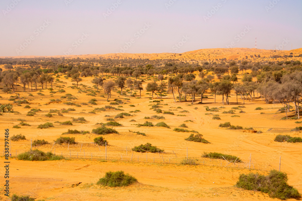 The Desert in Ras al Khaimah, United Arab Emirates The Desert in Ras al Khaimah, United Arab Emirates