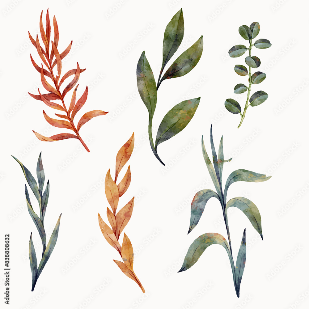 vector floral set of leaves, plants and branches isolated at white background, natural elements, hand drawn botanical illustration vector floral set of leaves, plants and branches isolated at white background, natural elements, hand drawn botanical illustration