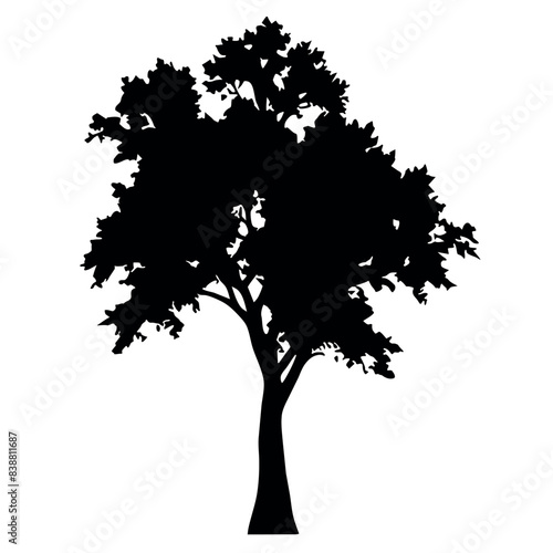 Big Tree vector silhouette black color illustration  a tree with branches vector silhouette