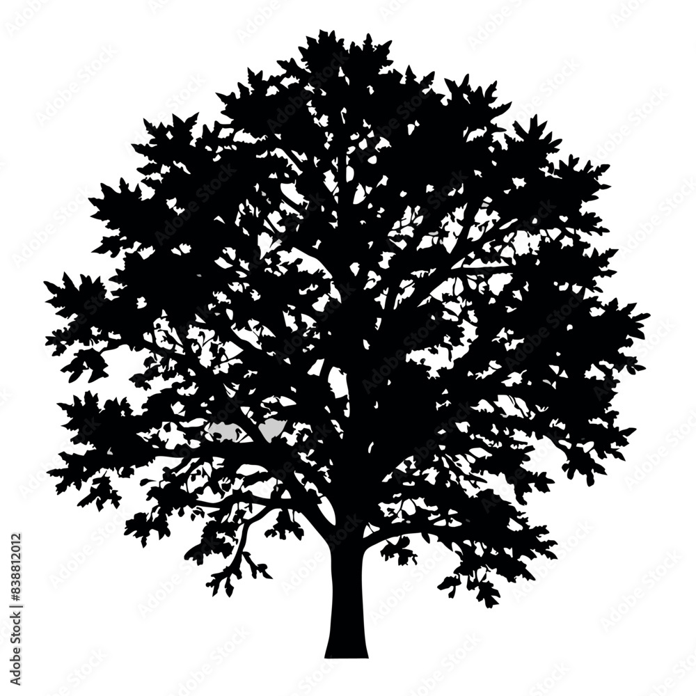 Fototapeta premium Big Tree vector silhouette black color illustration, a tree with branches vector silhouette