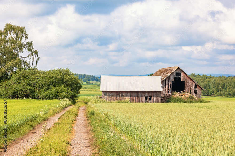 Dirt road to an old wooden barn in by a cereal field Dirt road to an old wooden barn in by a cereal field