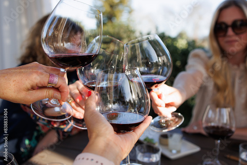 Toast amongst friends in wine country.