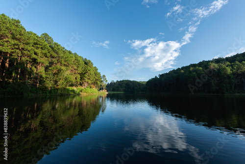 Pang-ung, pine forest park , Mae Hong Son, North of Thailand, forest background. Concept Travel