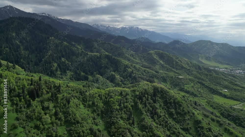 A mountainous area with different green vegetation. The view from the drone. A mountainous area with different green vegetation. The view from the drone.