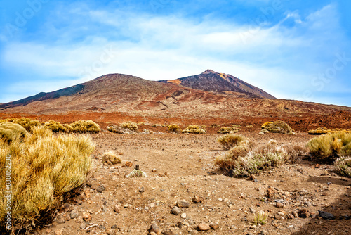 Volcanic landscape, Island Tenerife, Canary Islands, Spain, Europe. photo