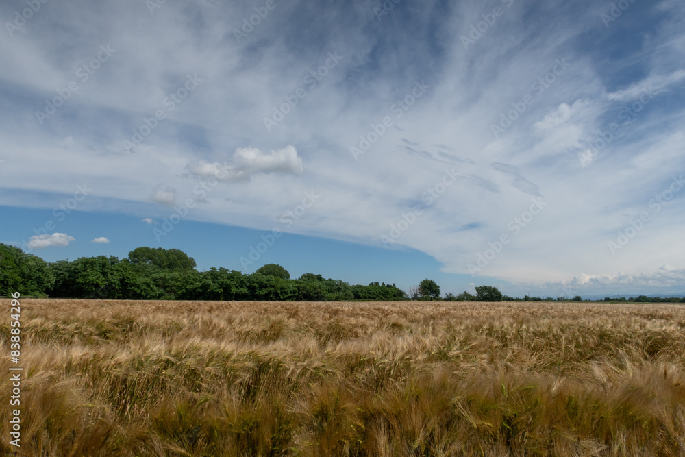 Po Valley