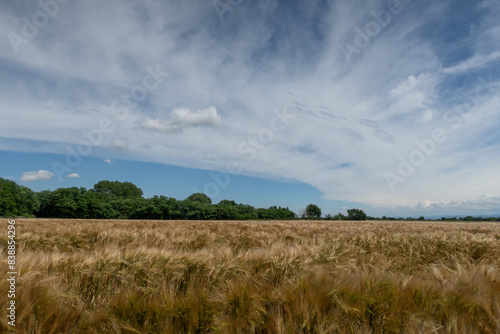 Obraz na płótnie Po Valley w salonie