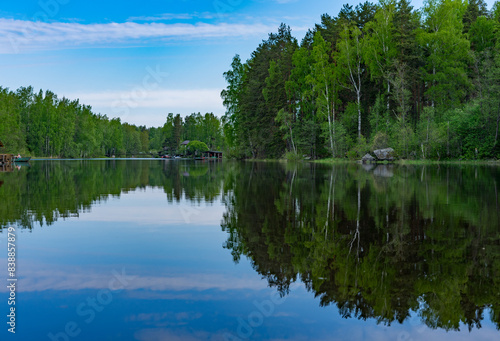 lake in the forest