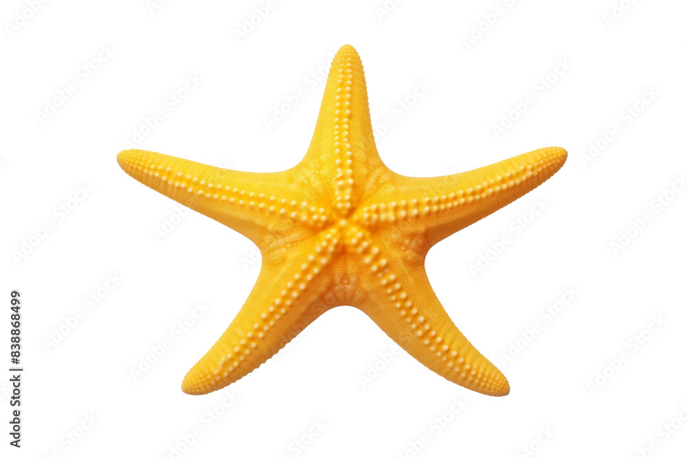 Radiant Sunshine: A Yellow Starfish Dance on a White or Clear Surface PNG Transparent Background. Radiant Sunshine: A Yellow Starfish Dance on a White or Clear Surface PNG Transparent Background.