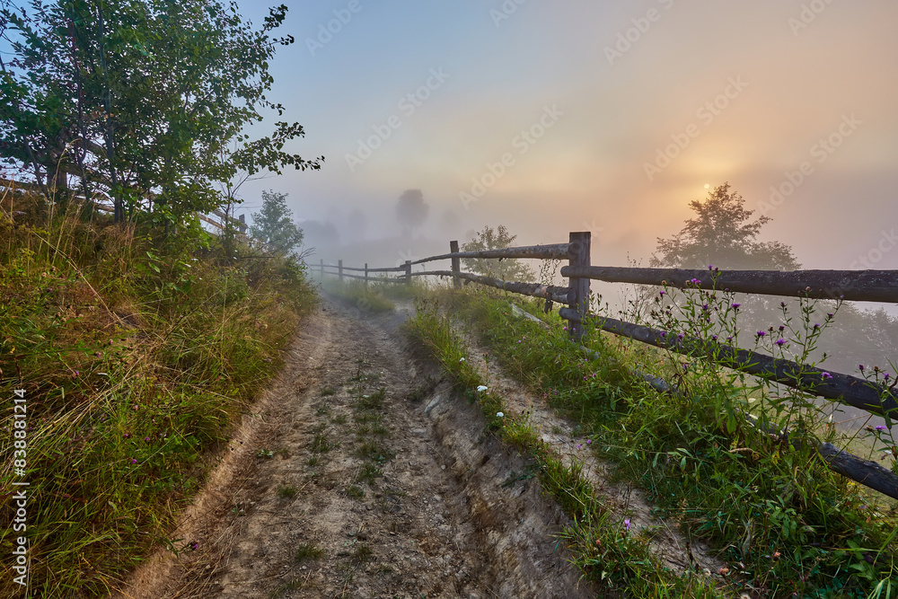 Fresh green scene of mountain farmland with old country road. Exciting summer view of Carpathian mountains, Ukraine, Europe.