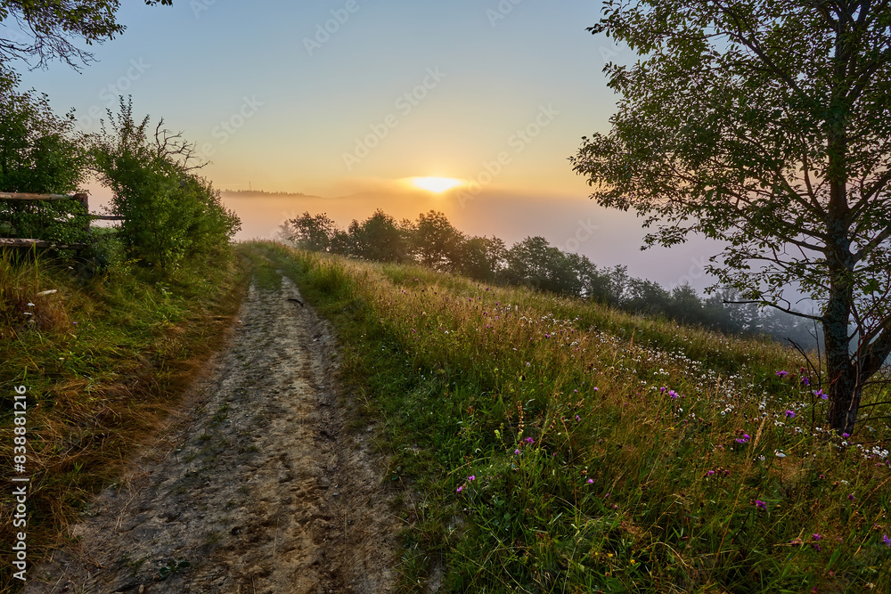 Fresh green scene of mountain farmland with old country road. Exciting summer view of Carpathian mountains, Ukraine, Europe. Fresh green scene of mountain farmland with old country road. Exciting summer view of Carpathian mountains, Ukraine, Europe.