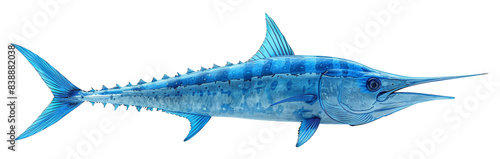 Blue marlin fish illustration. Isolated on white and transparent background photo