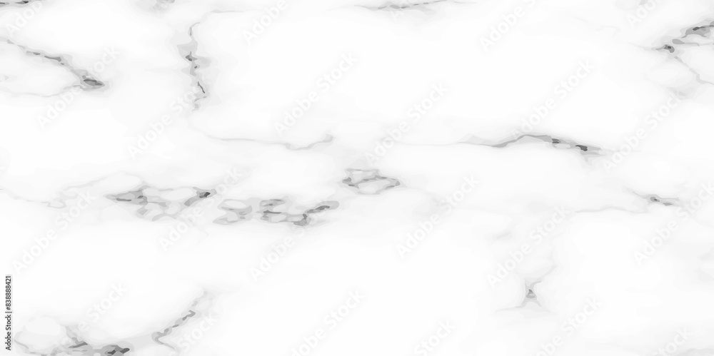 White marble texture and background. black and white marbling surface stone wall tiles and floor tiles texture. vector illustration.
White marble texture and background. black and white marbling surface stone wall tiles and floor tiles texture. vector illustration.