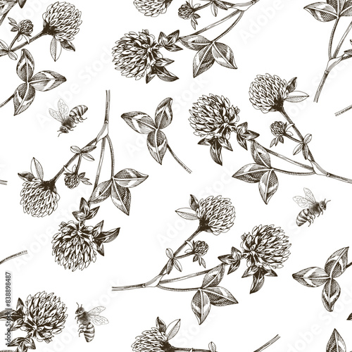 Seamless pattern with bees pollinating red clover flowers