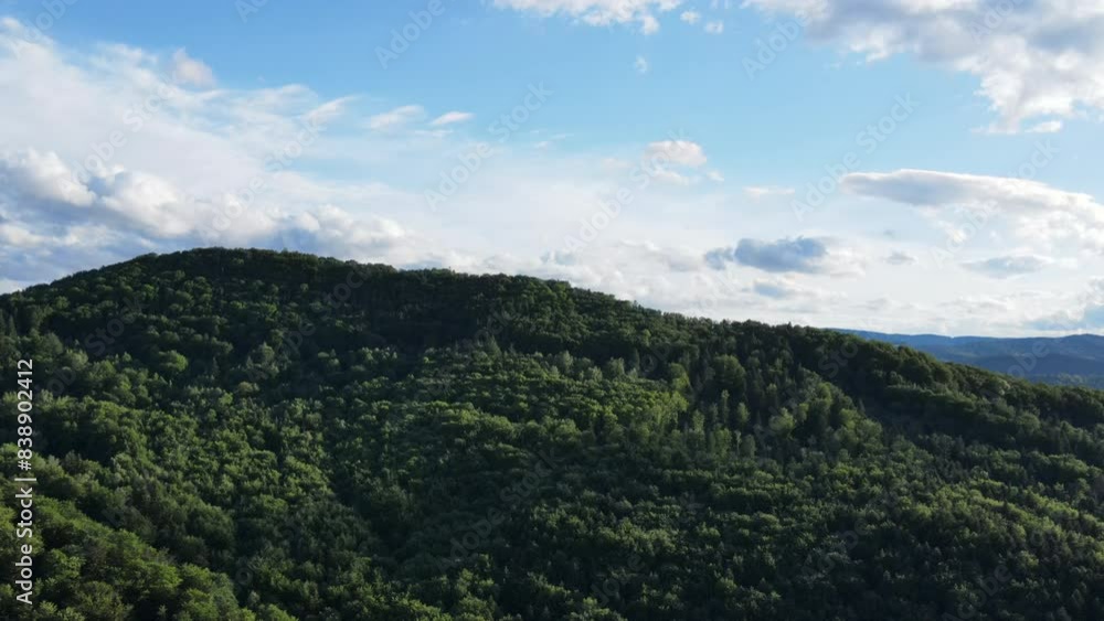 Cinematic aerial shot of endless mountain and forest landscape in Carpathians. Tree peaks stand out, pristine and untouched natural reserve Cinematic aerial shot of endless mountain and forest landscape in Carpathians. Tree peaks stand out, pristine and untouched natural reserve