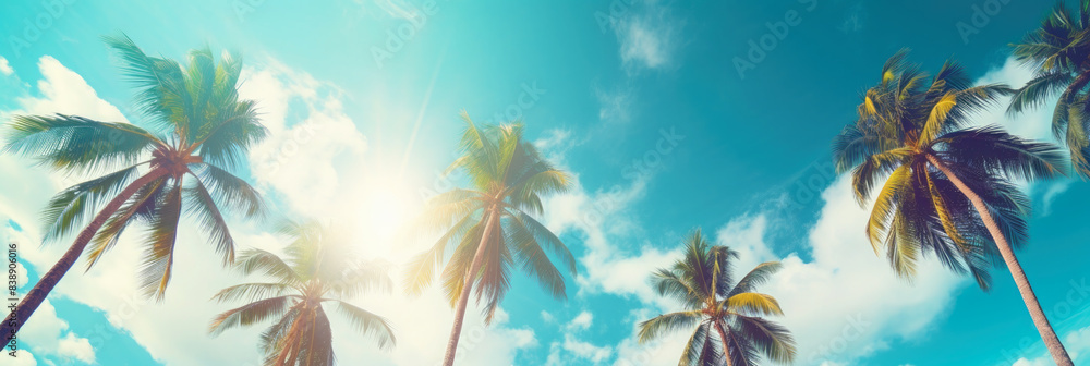 Summer holidays travel concept. Palm trees against blue sky Summer holidays travel concept. Palm trees against blue sky